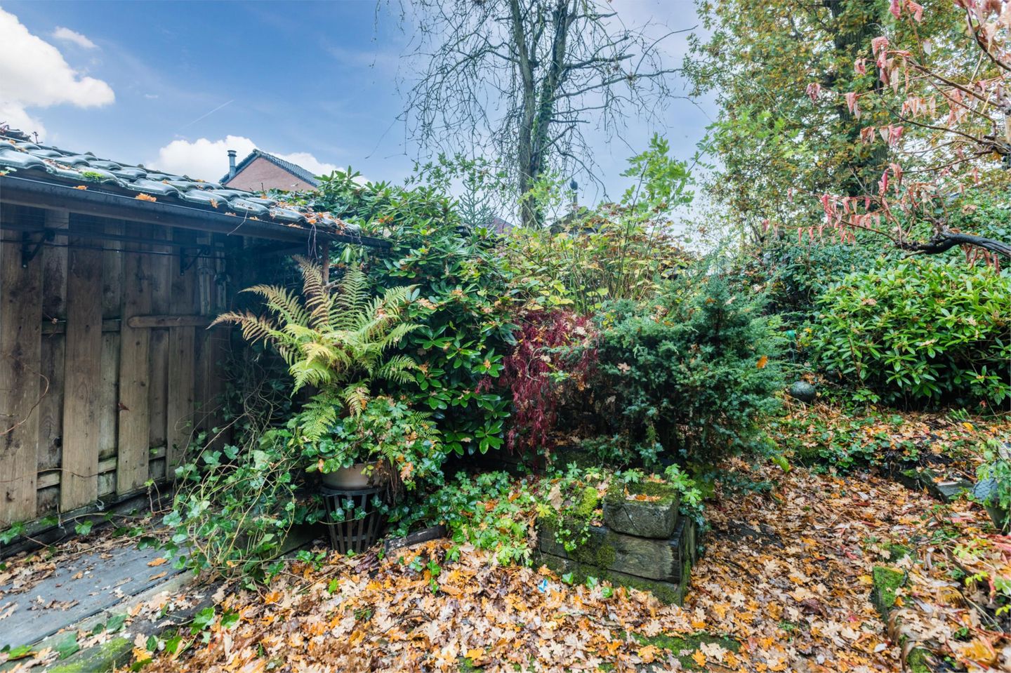 Foto 40 van Fluitekamp 110