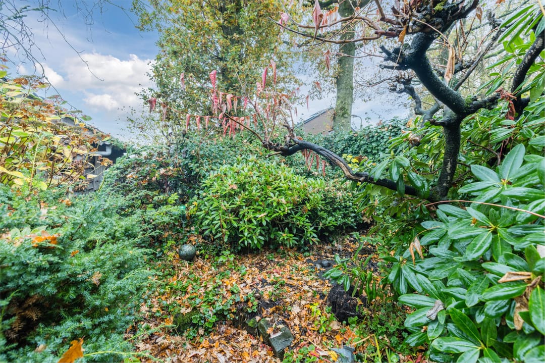 Foto 41 van Fluitekamp 110