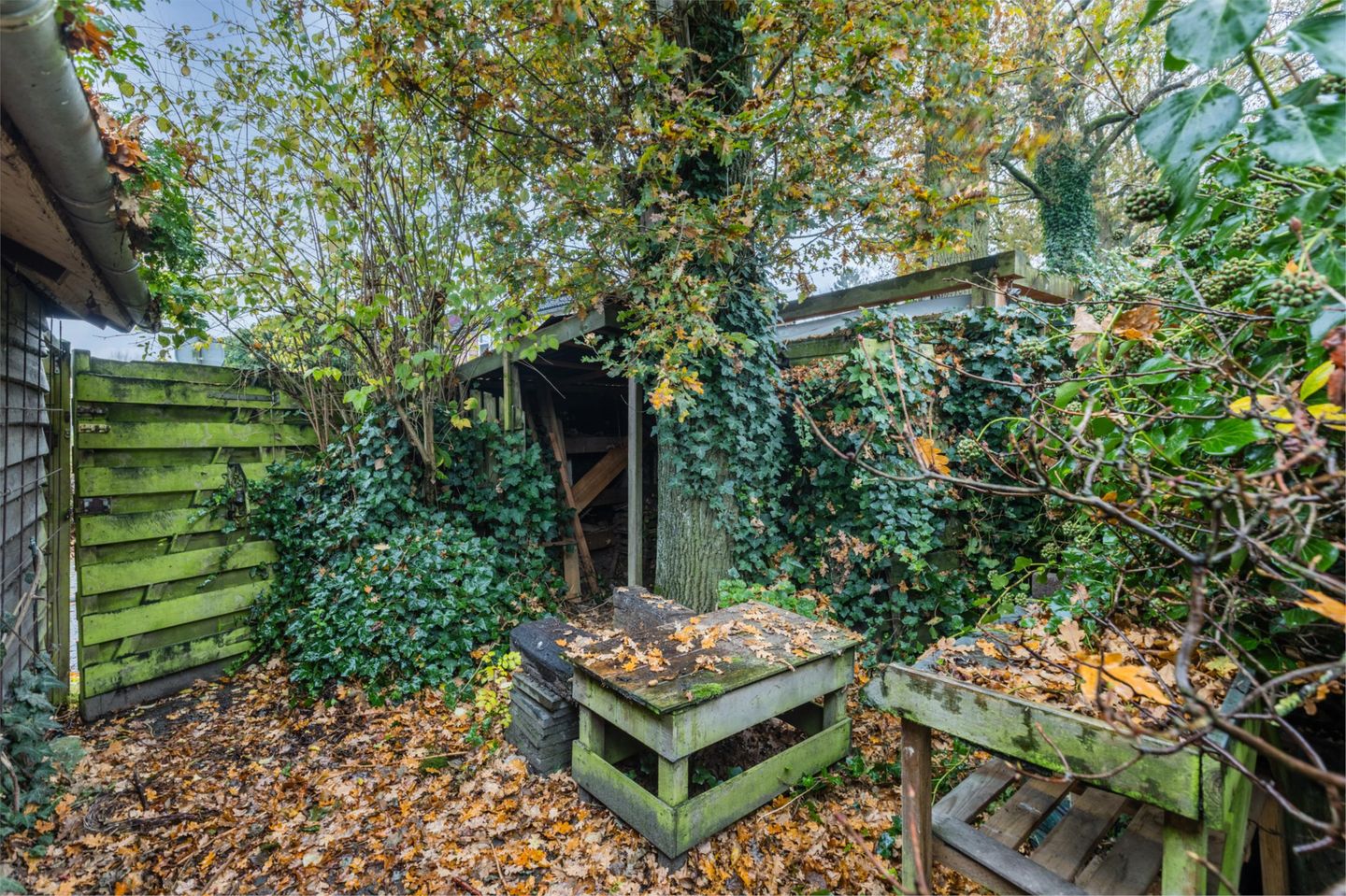 Foto 44 van Fluitekamp 110