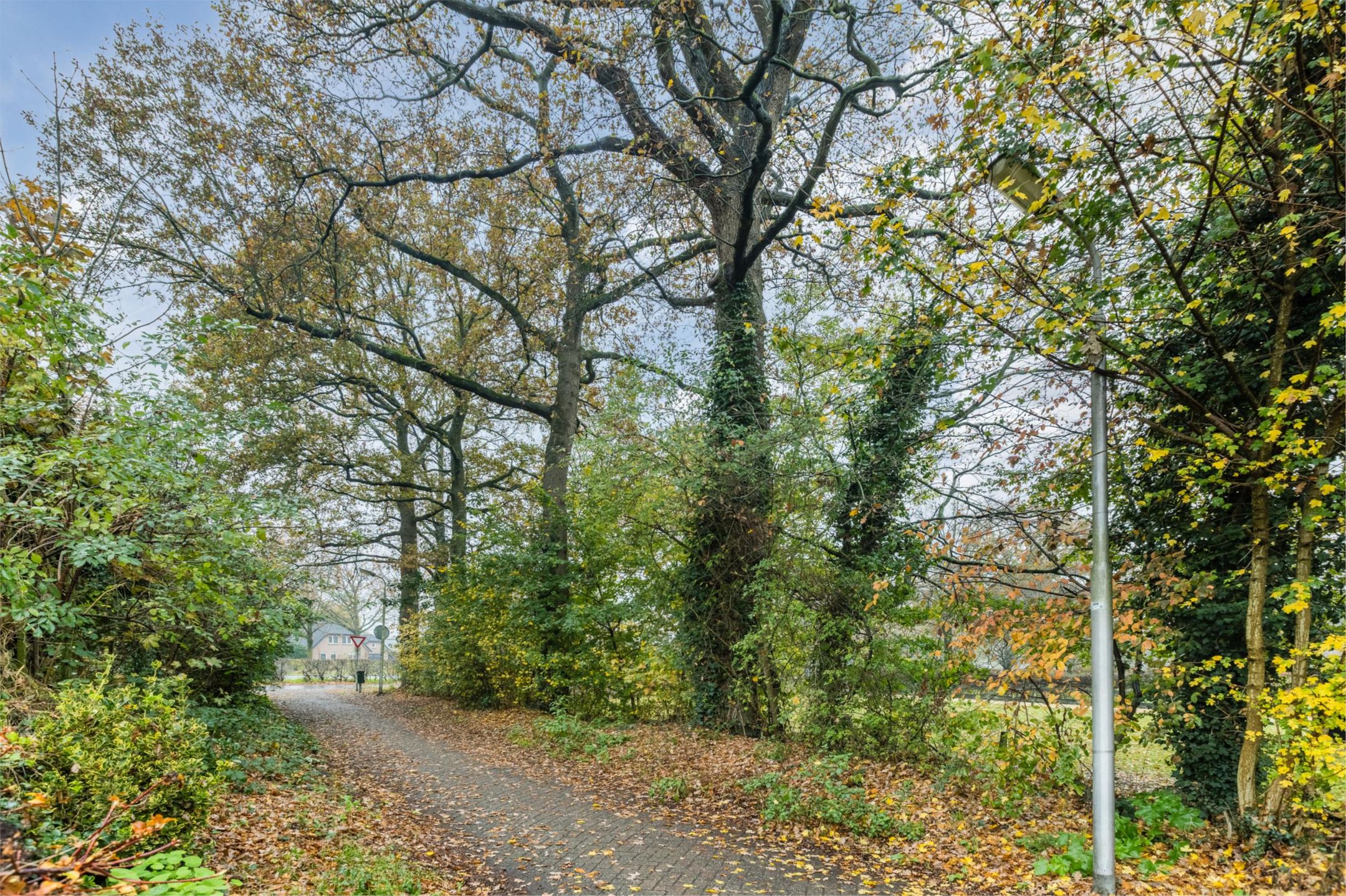 Foto 54 van Fluitekamp 110