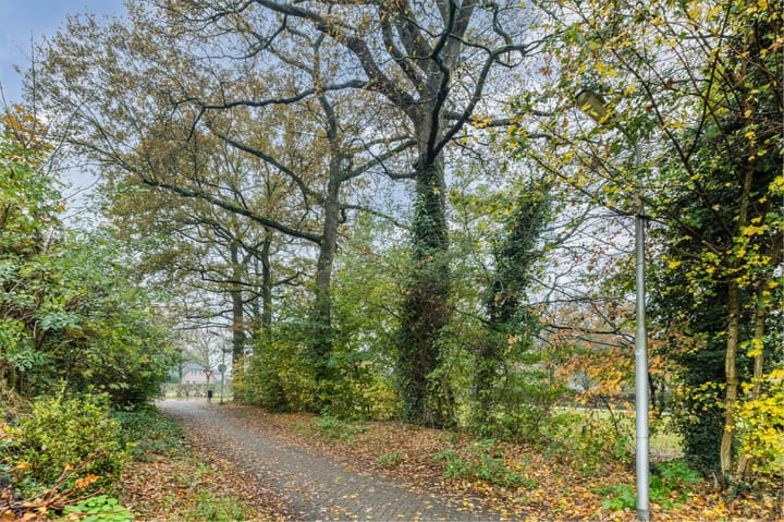 Photo 54 of Fluitekamp 110