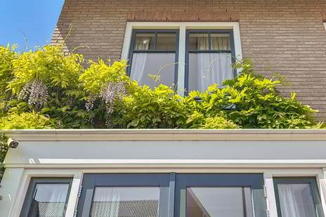 Oleanderlaan 66 tertiary image