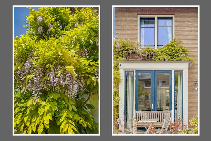 Photo 44 of Oleanderlaan 66