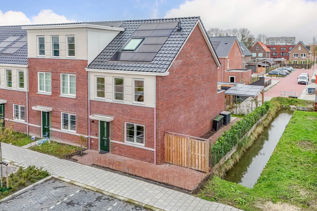 Foto 1 van Kraagroos 10