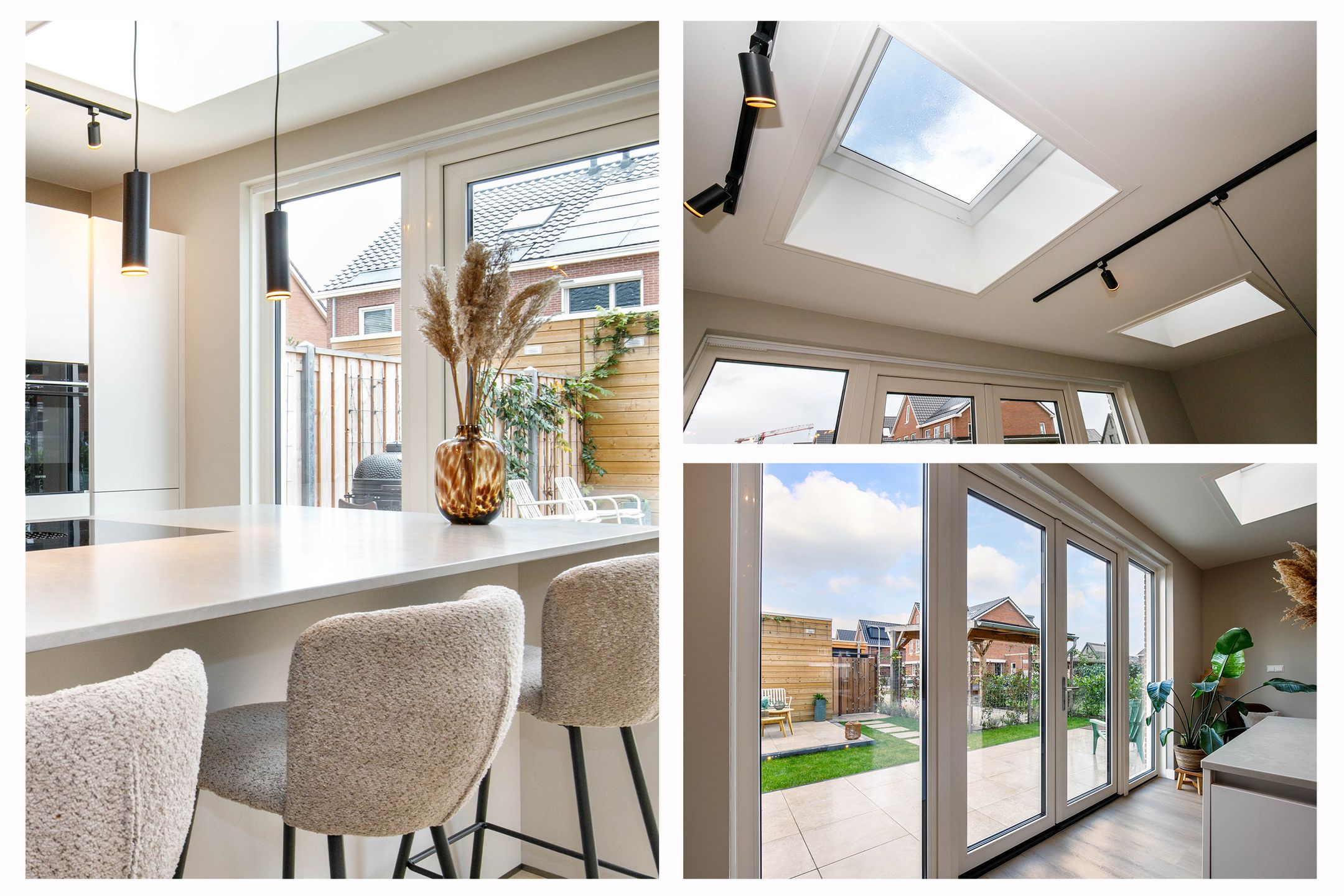 Foto 12 van Kraagroos 10