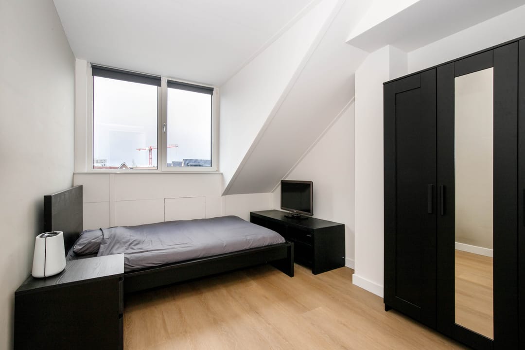 Foto 31 van Kraagroos 10