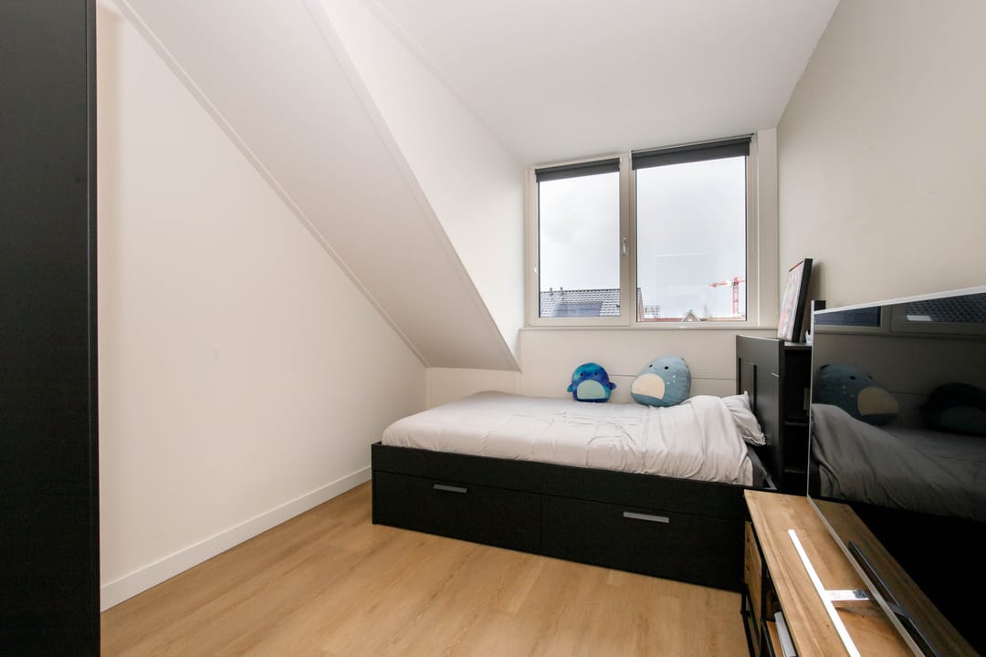 Foto 32 van Kraagroos 10