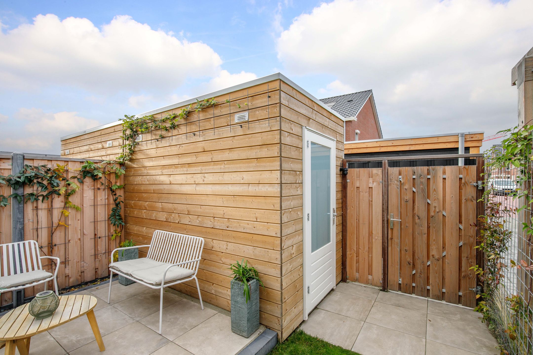 Foto 39 van Kraagroos 10