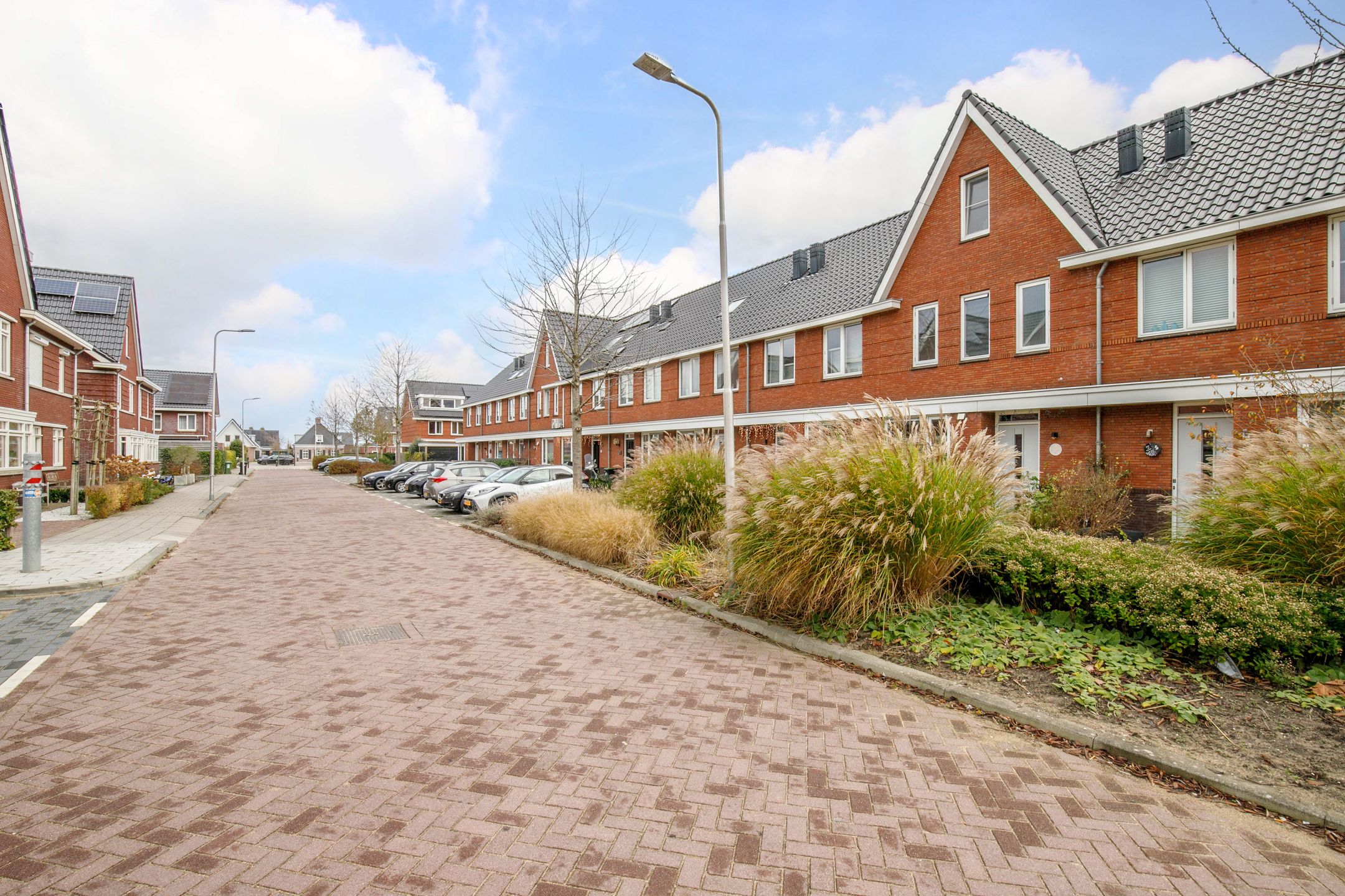 Foto 45 van Kraagroos 10