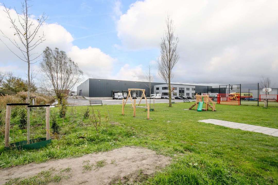 Foto 46 van Kraagroos 10