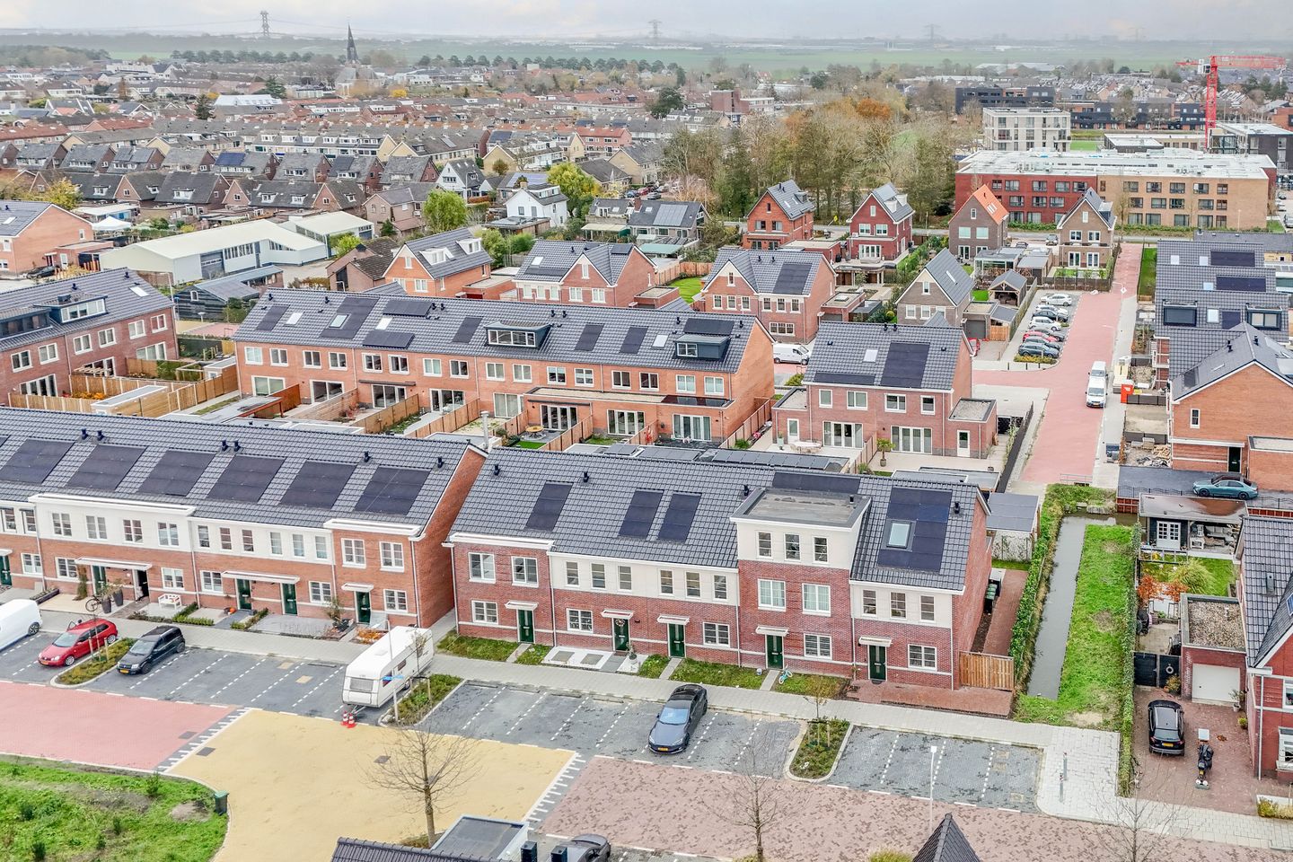 Foto 49 van Kraagroos 10