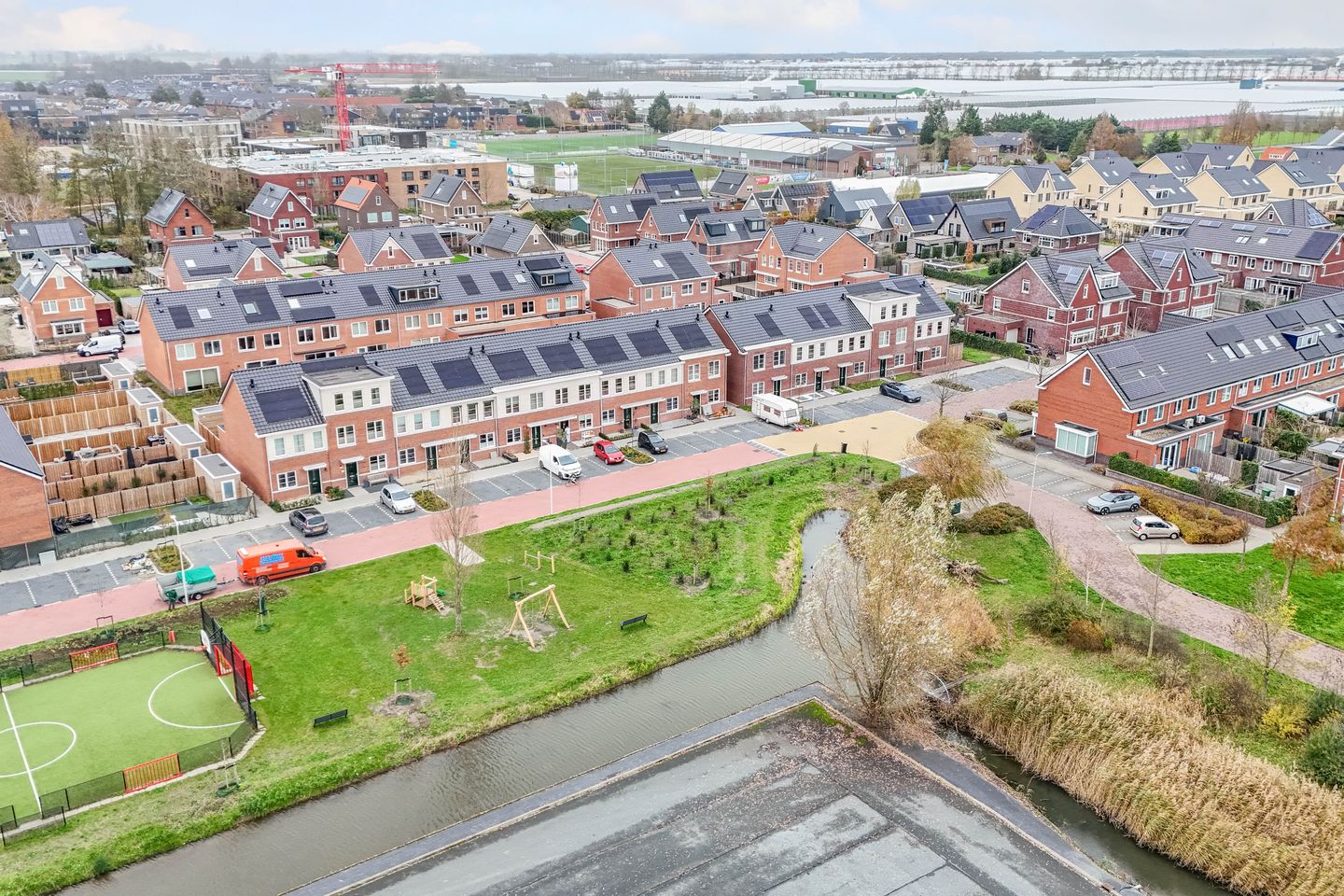 Foto 50 van Kraagroos 10