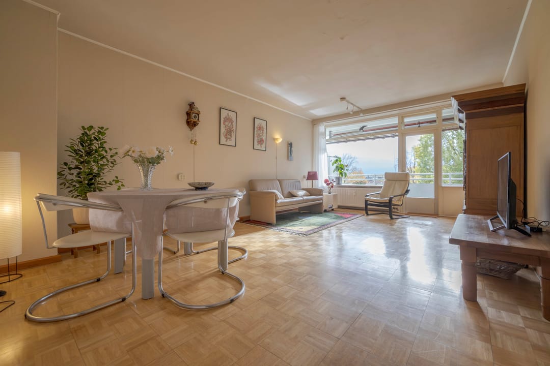 Foto 2 van Van Borselenstraat 224