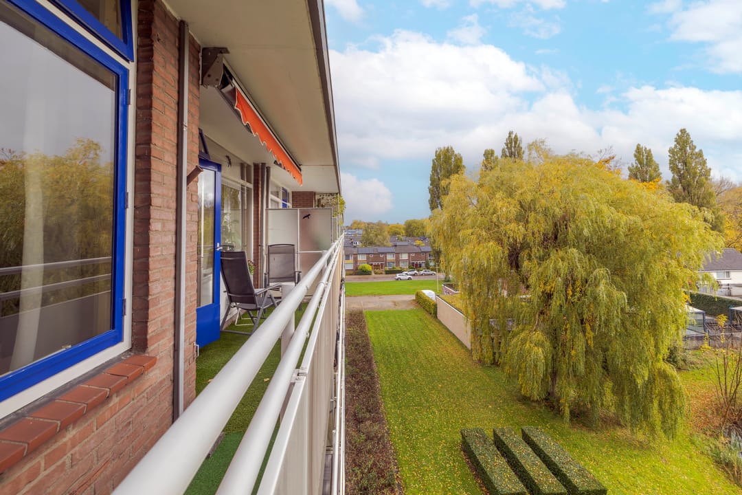 Foto 8 van Van Borselenstraat 224