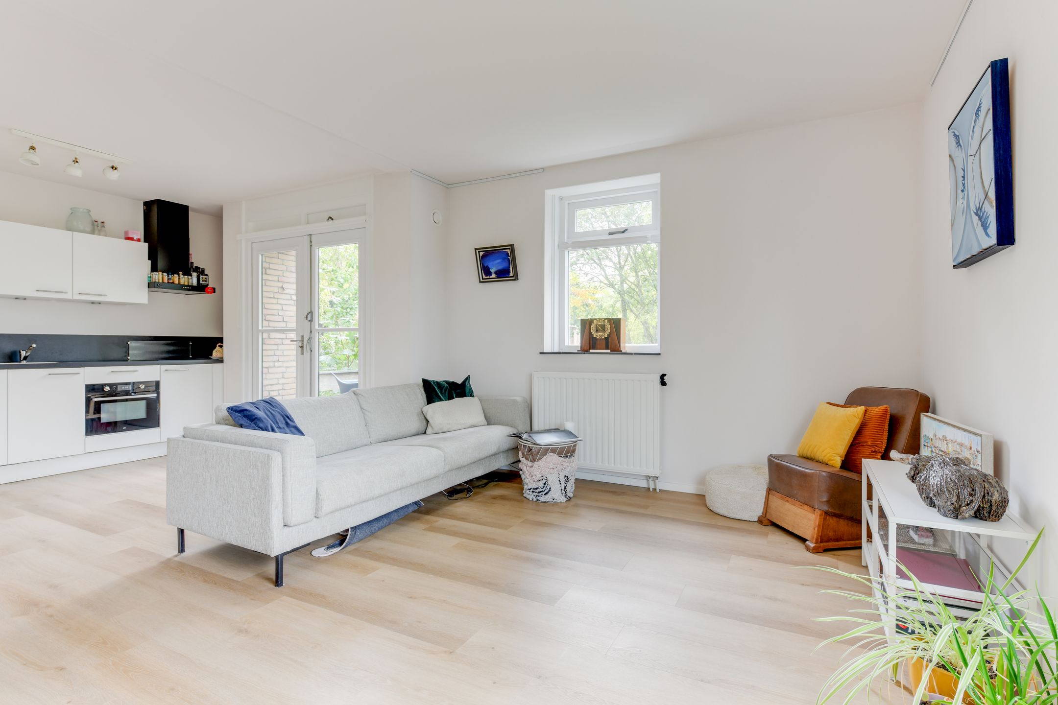 Foto 3 van Luiveland 23-A