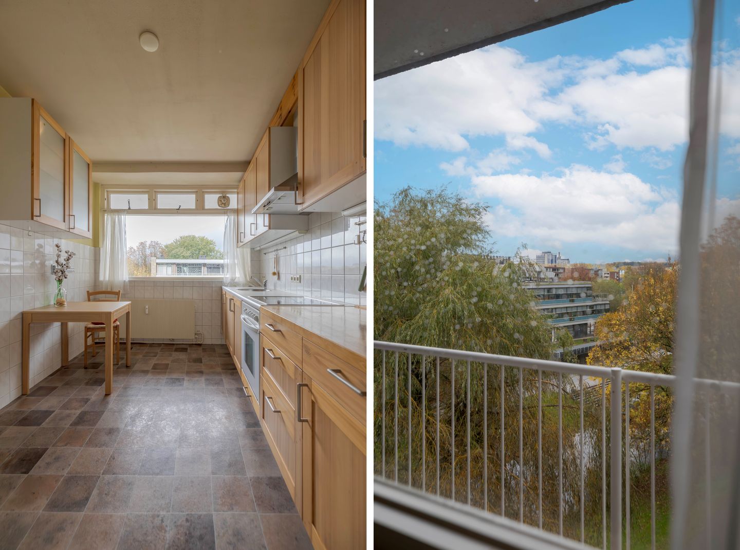 Foto 19 van Van Borselenstraat 224