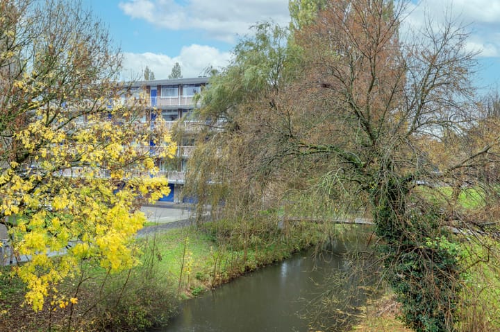 Foto 32 van Van Borselenstraat 224