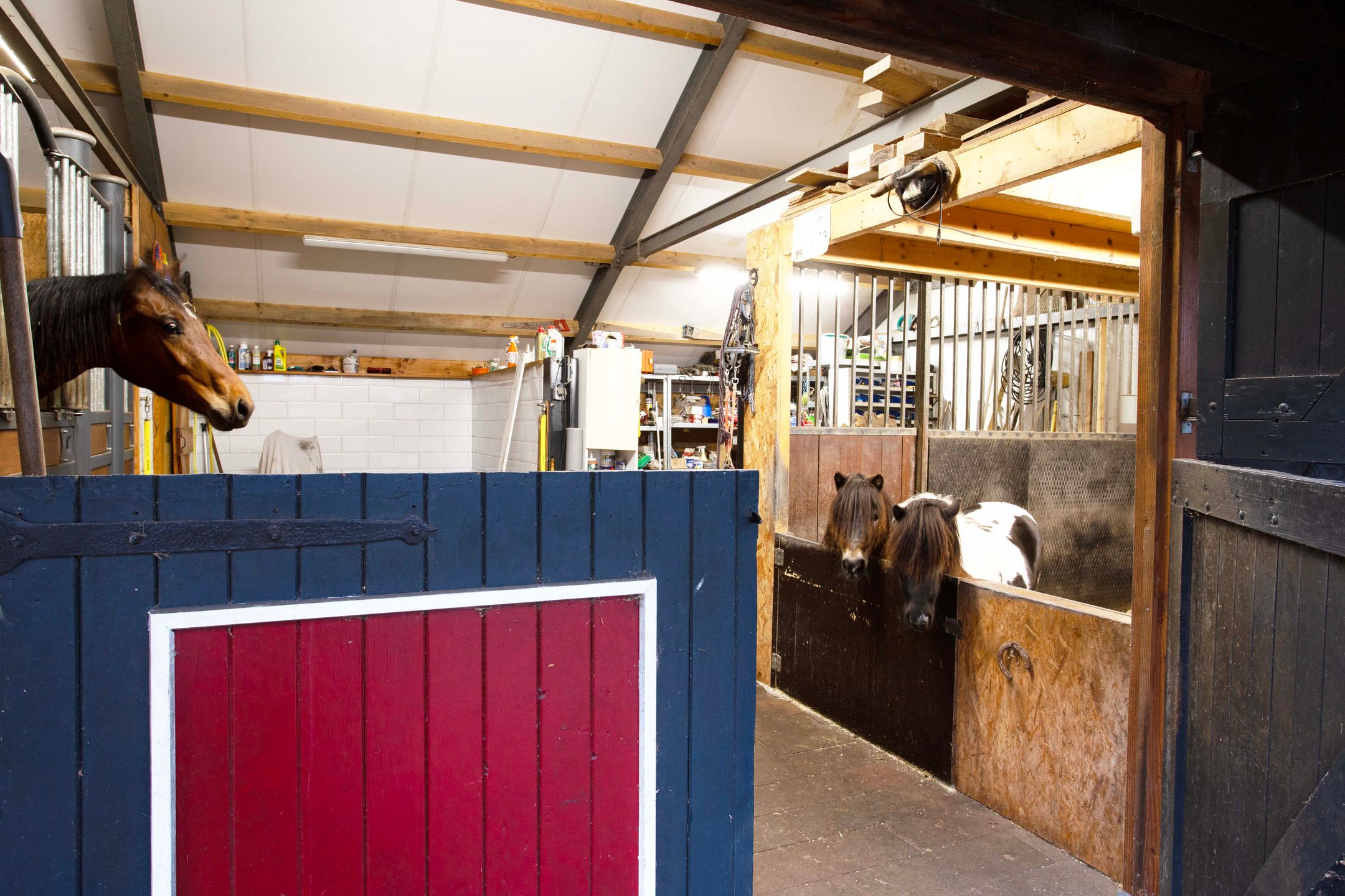 Foto 81 van Goorweg 3