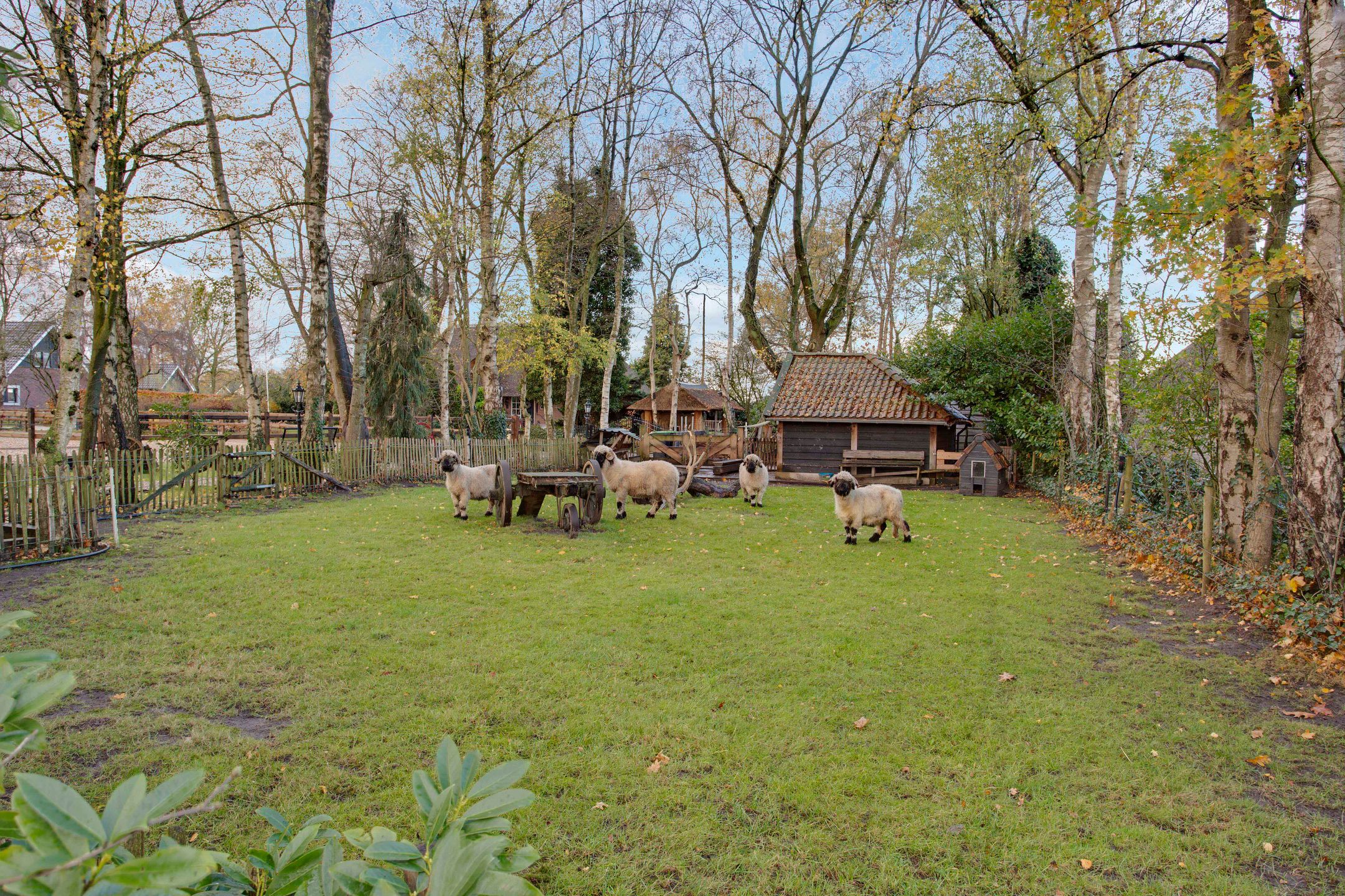 Foto 90 van Goorweg 3