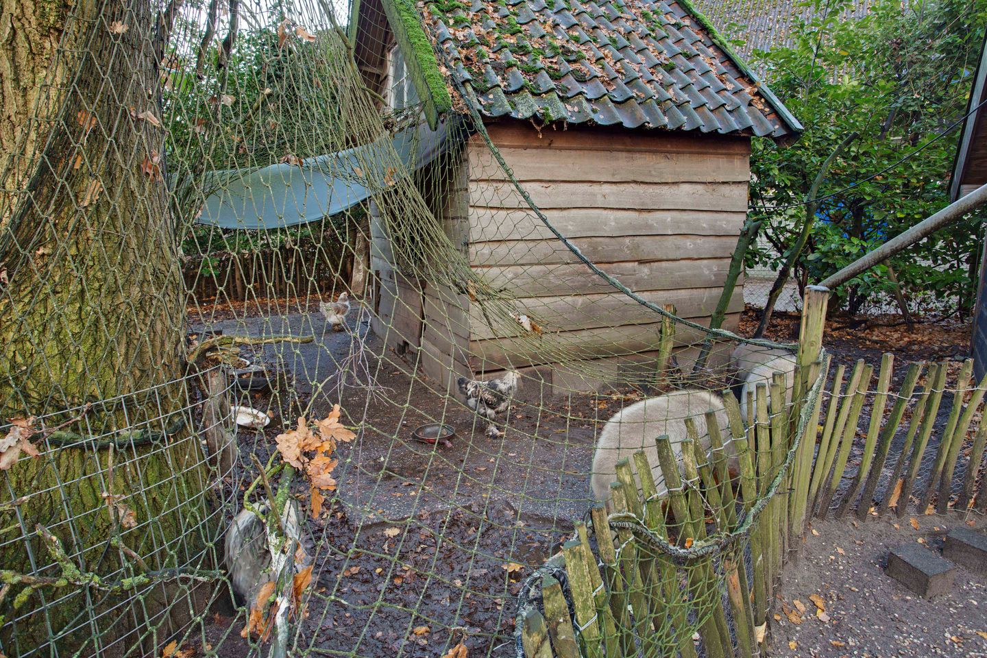 Foto 94 van Goorweg 3