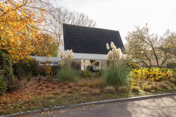 Photo 5 of De Steenzager 40