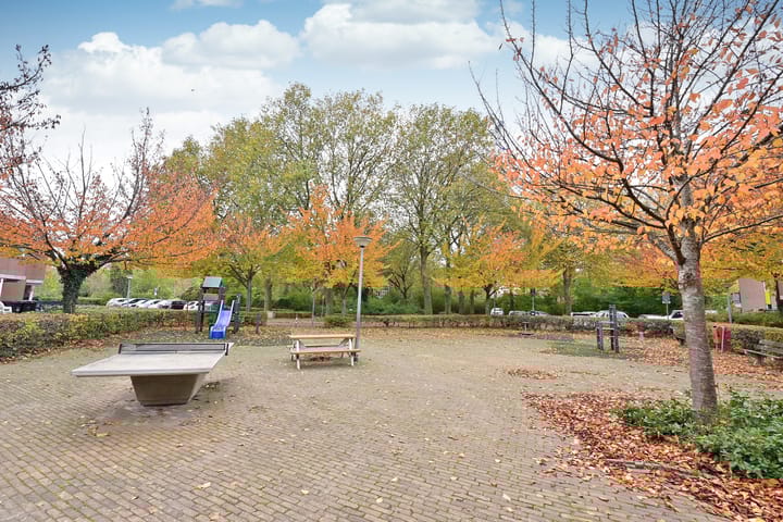 Foto 4 van Binnenhof 154