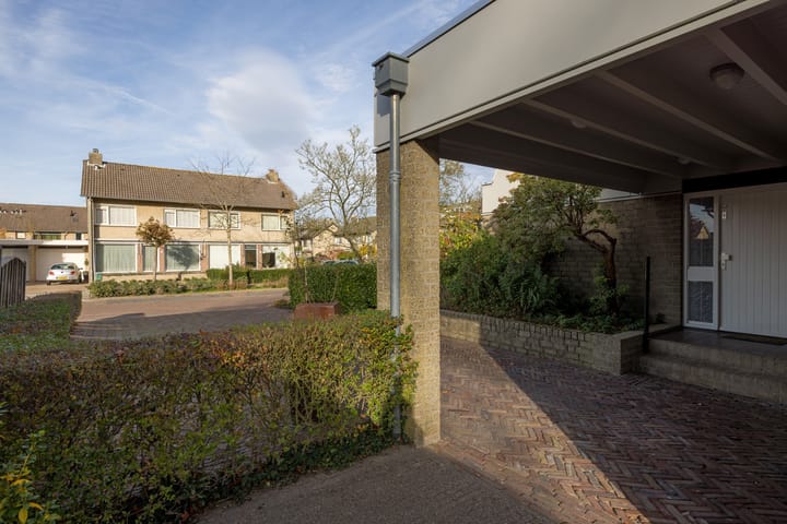 Foto 31 van De Steenzager 40