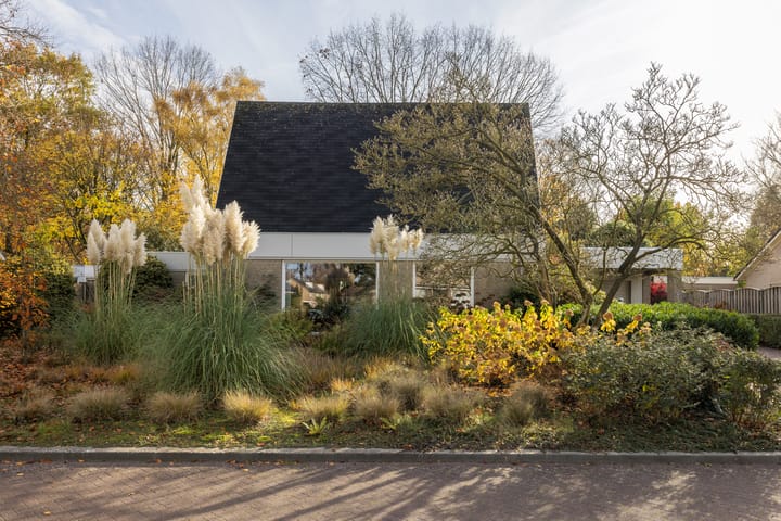 Foto 32 van De Steenzager 40