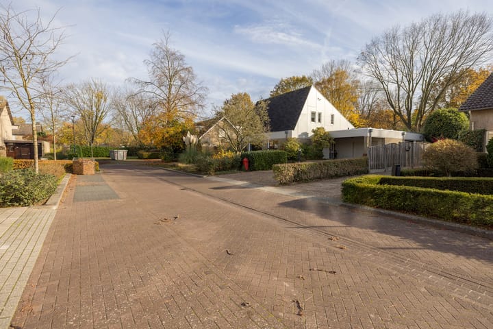 Foto 33 van De Steenzager 40