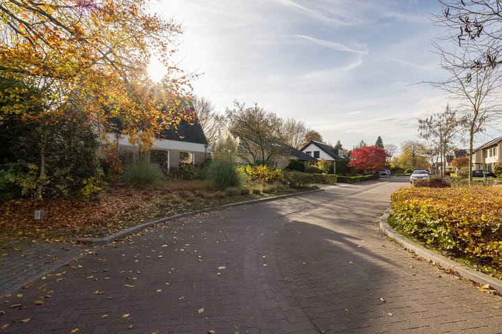 Foto 34 van De Steenzager 40