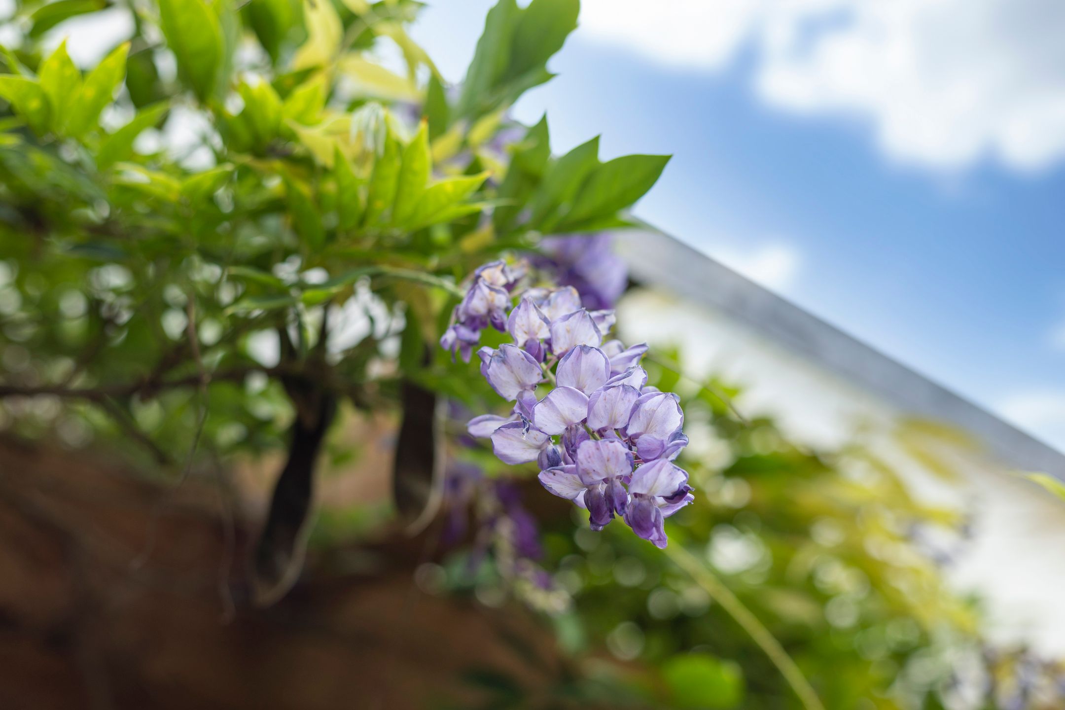 Photo 48 of Parcivalring 158