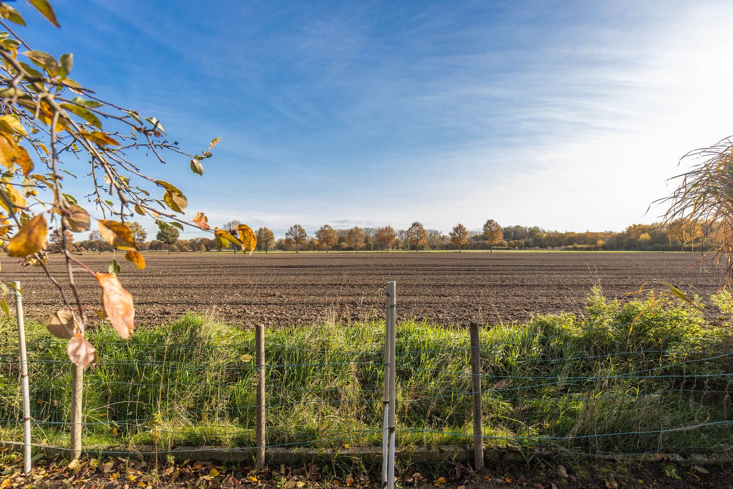 Foto 40 van Randenborgweg 12