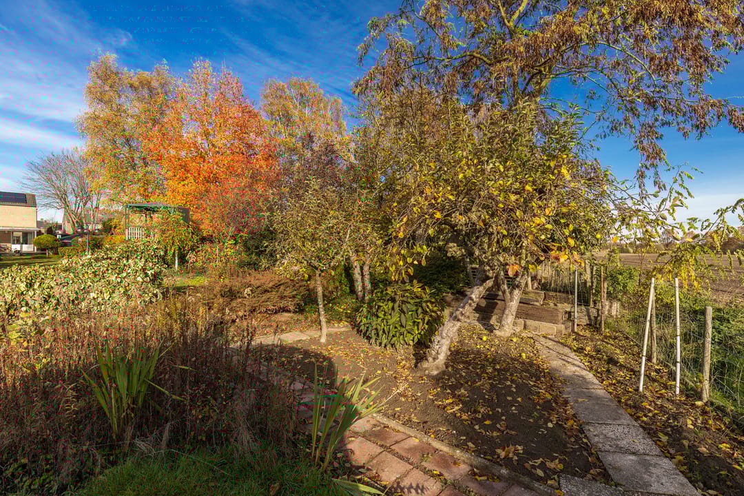 Foto 41 van Randenborgweg 12