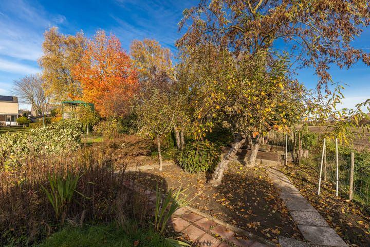 Foto 41 van Randenborgweg 12