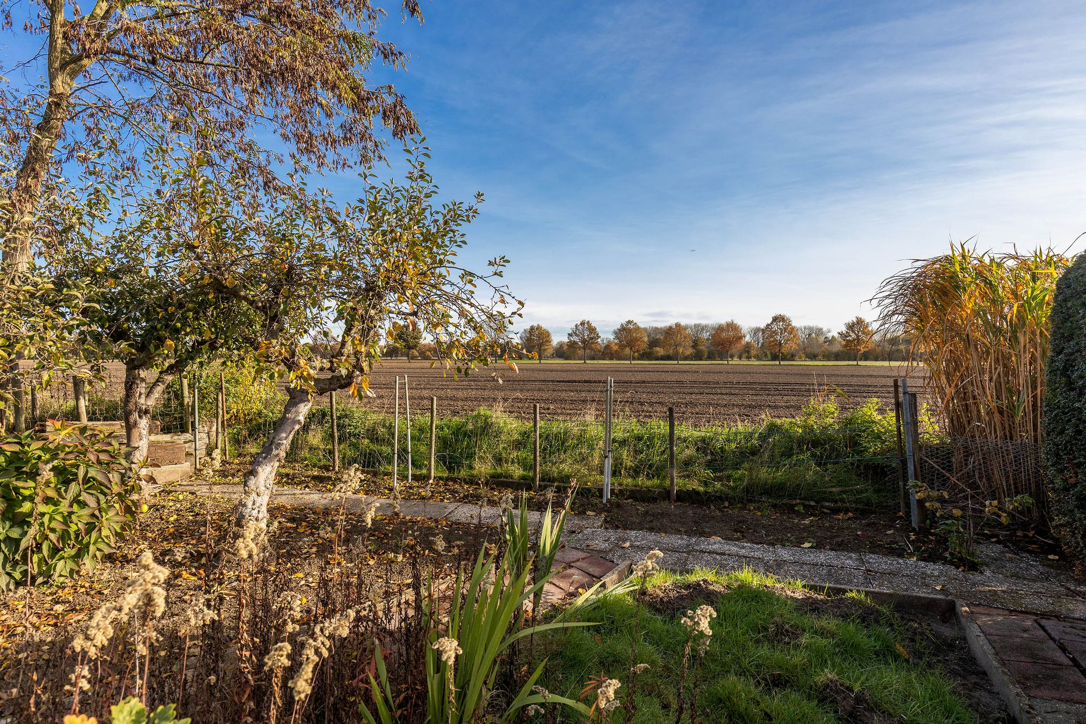 Foto 42 van Randenborgweg 12