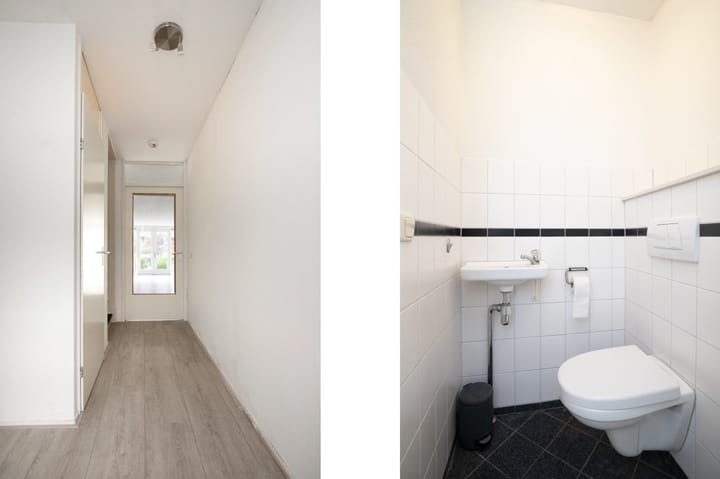 Photo 7 of Sphinxlunet 67