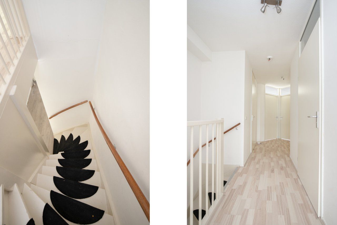 Foto 10 van Sphinxlunet 67