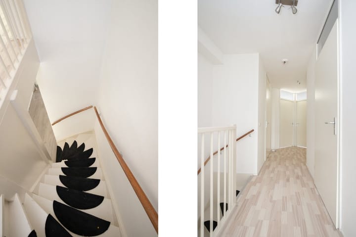 Photo 10 of Sphinxlunet 67