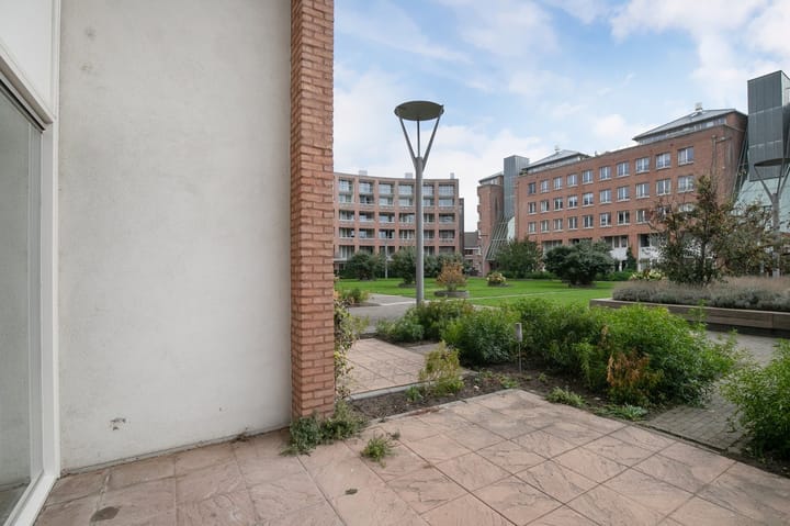 Photo 20 of Sphinxlunet 67