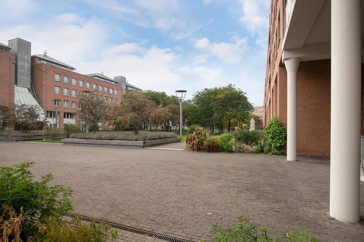 Photo 22 of Sphinxlunet 67