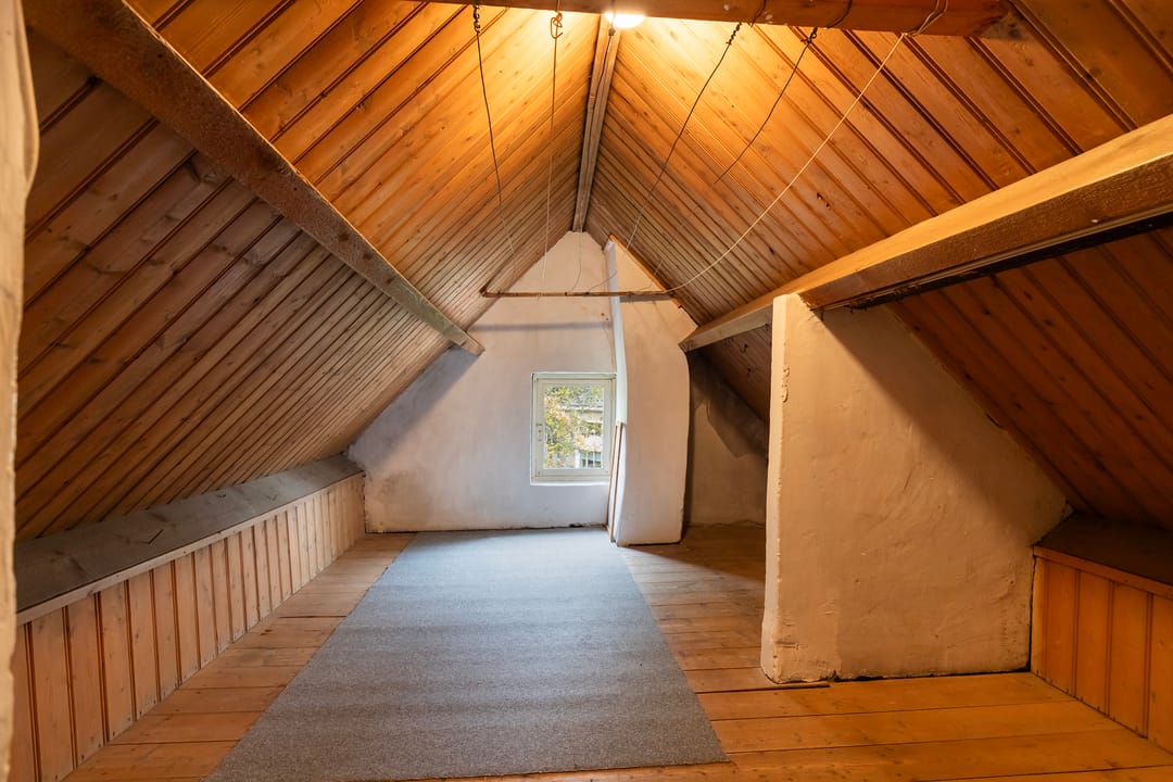 Photo 28 of Koningin Hortenselaan 16