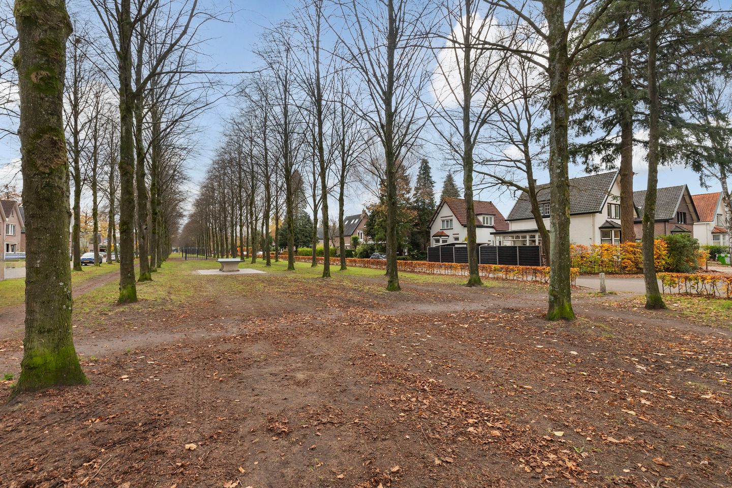 Photo 35 of Koningin Hortenselaan 16