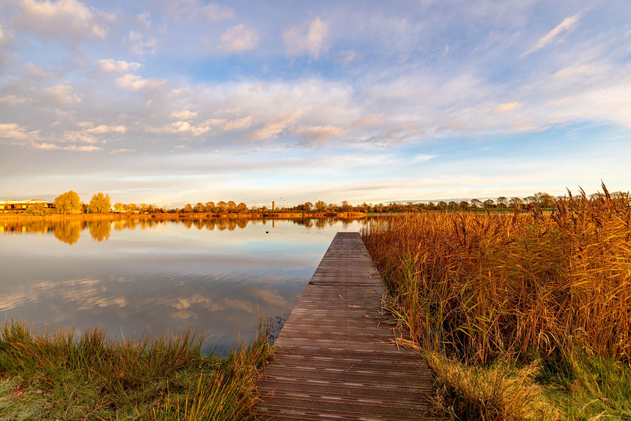 Foto 30 van J.A. de Bree-Meijerstr 18