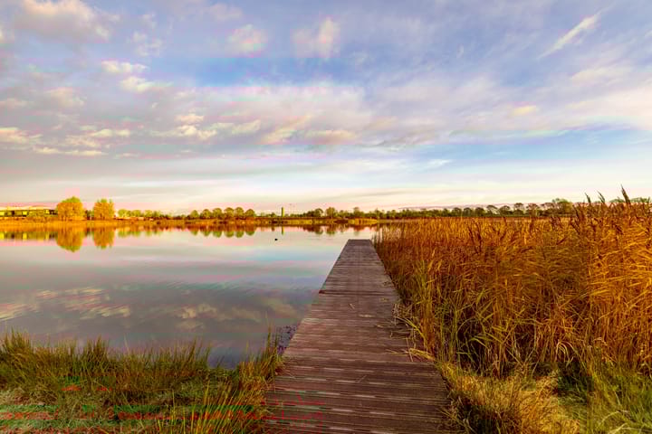 Foto 30 van J.A. de Bree-Meijerstr 18