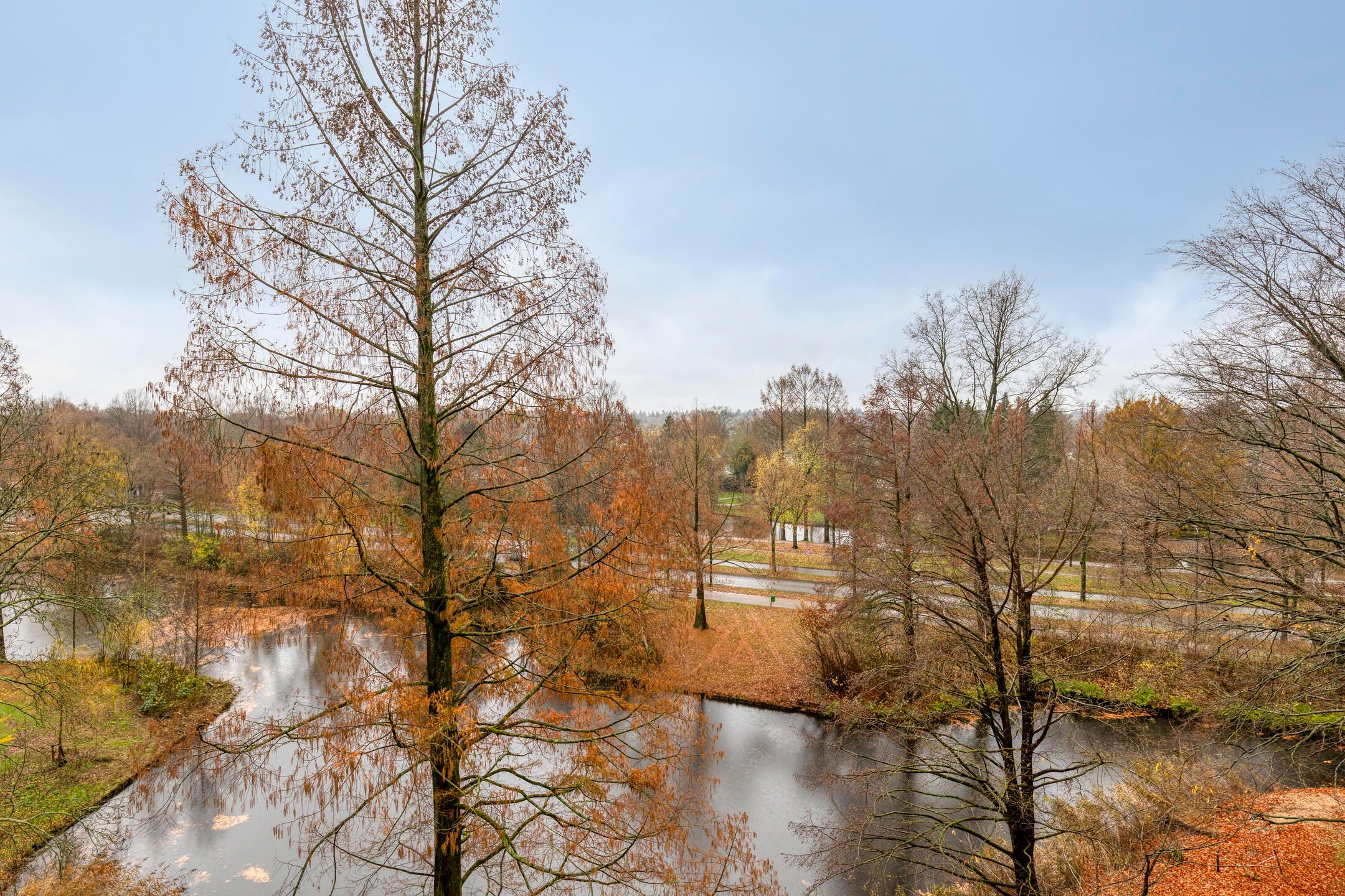 Foto 3 van Veenbesstraat 526