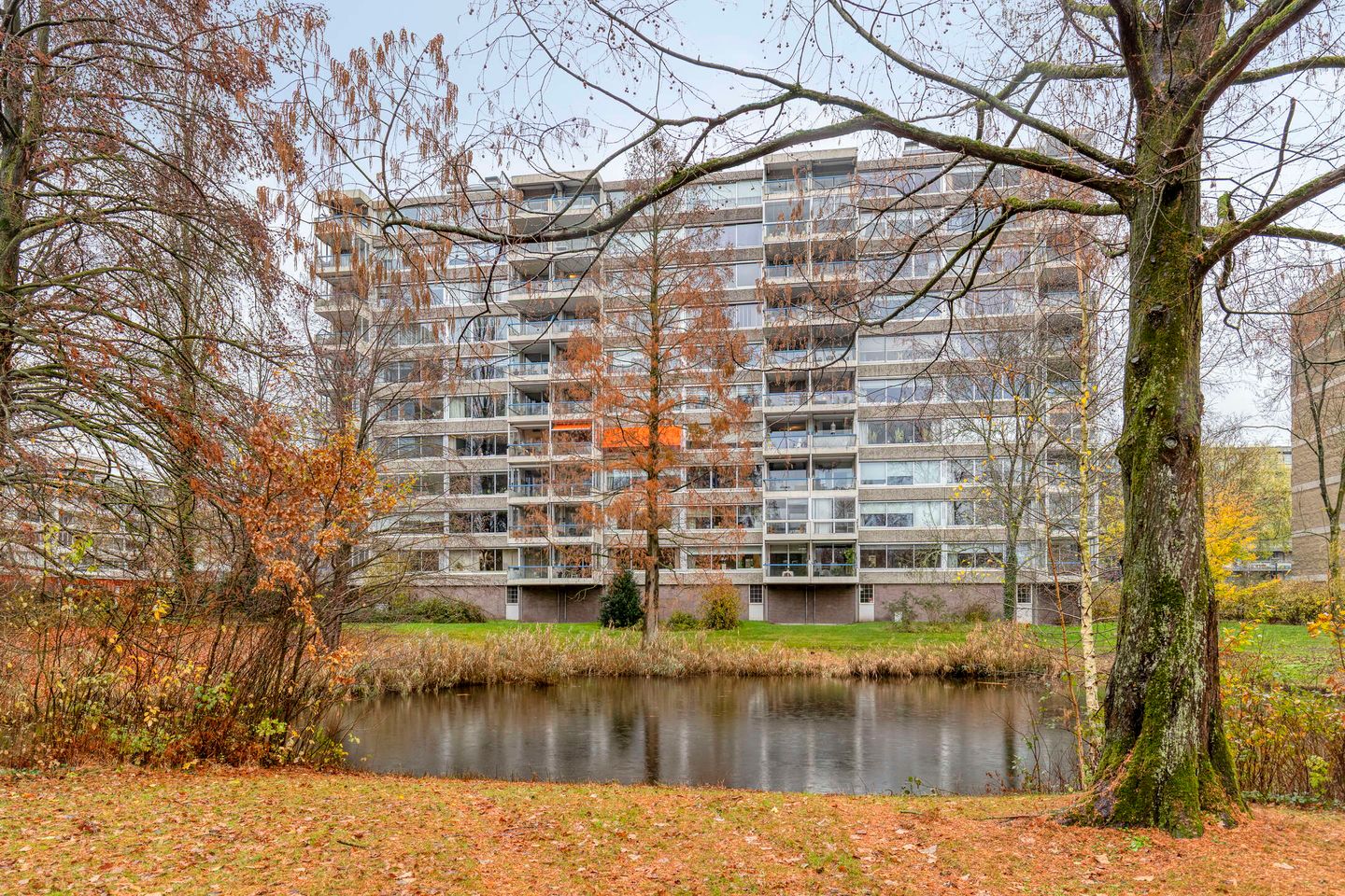 Foto 29 van Veenbesstraat 526