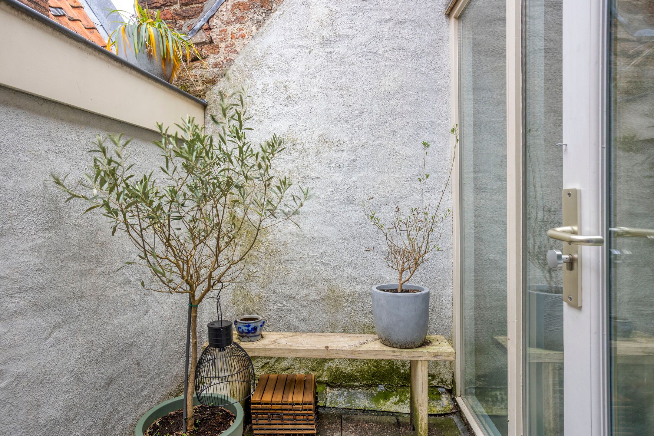 Photo 24 of Naadzak 14