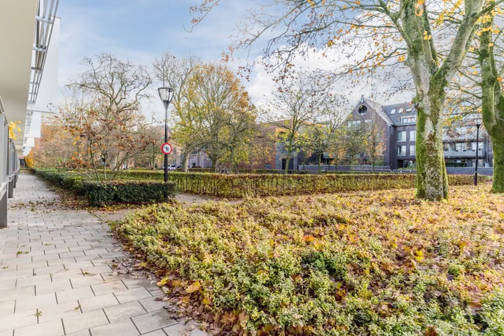 Photo 46 of Fraterstuin 1