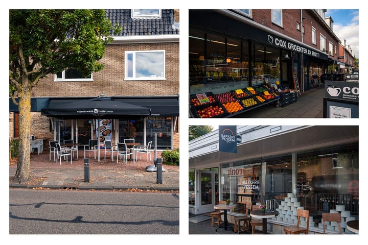 Photo 50 of Kastanjelaan 3