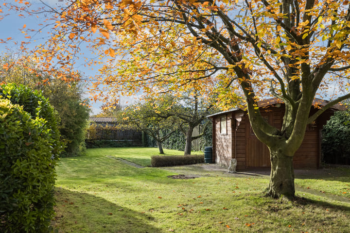 Photo 32 of De Mors 26